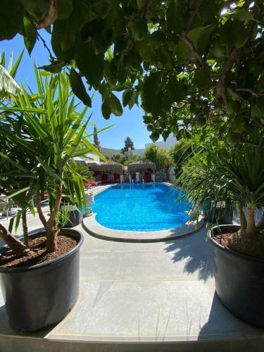 Hostal Artunc Hotel