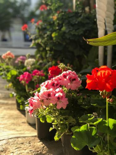 Hostal Artunc Hotel