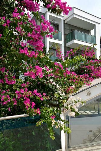 Apartamento Royal Palm Residence