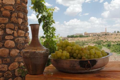 Posada Kasr-i Nehroz Hotel