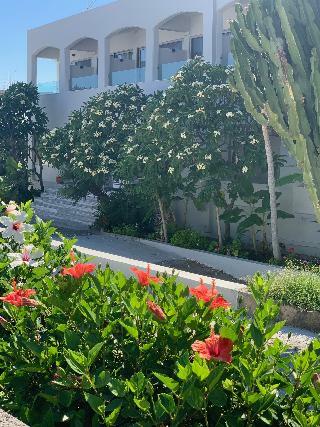 Aparthotel Pals Studios Pefkos