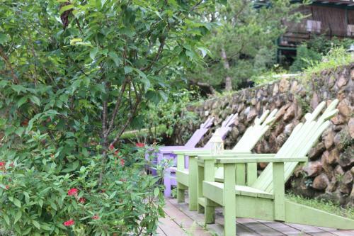 Bear Meets Moose Homestay B&B