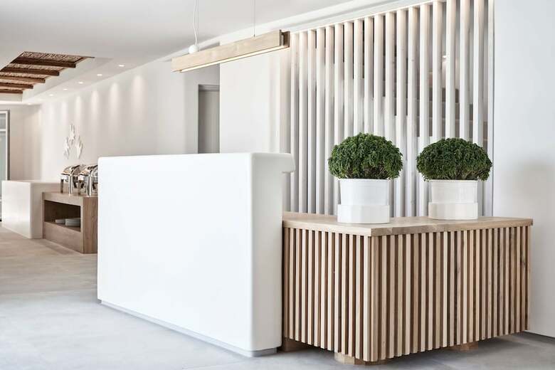 Hotel Mykonos Euphoria Suites