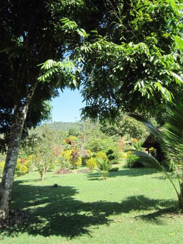 Hotel Phanom Bencha Mountain Resort