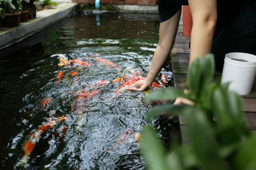Serene Bangkok Bed And Breakfast