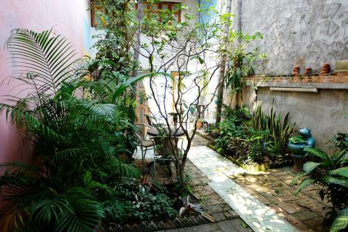 Hostal Pim Bed & Breakfast