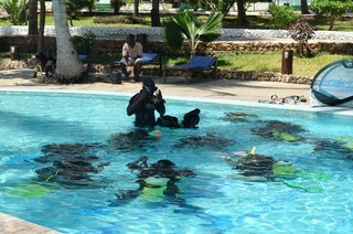 Hotel Paradise Beach Resort