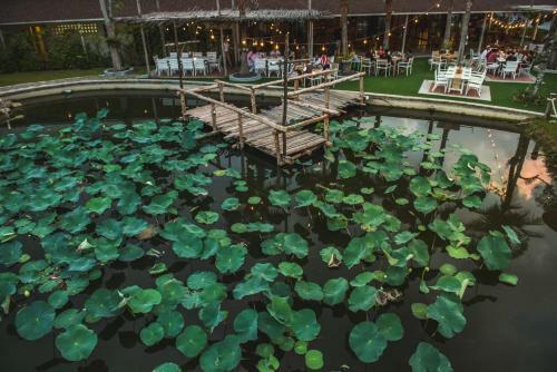 Dolphin Hotel Phuket