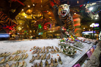 Tiger Hotel (complex)