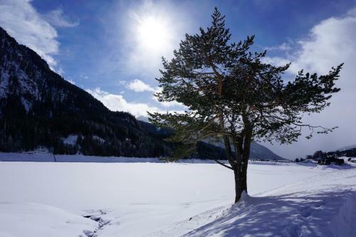 Bed & Breakfast Shima-davos