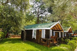 Hotel Green Pine Beach & Bungalows Luxury Concept