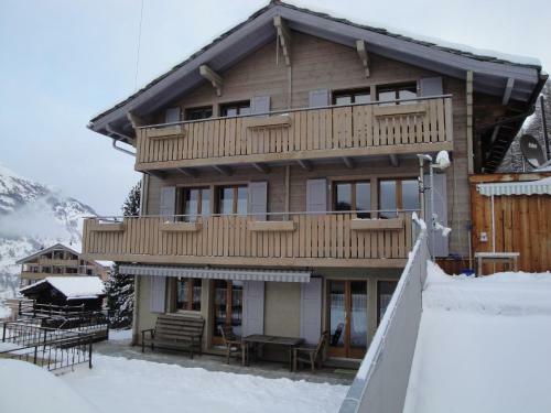 Apartamentos Steinbock