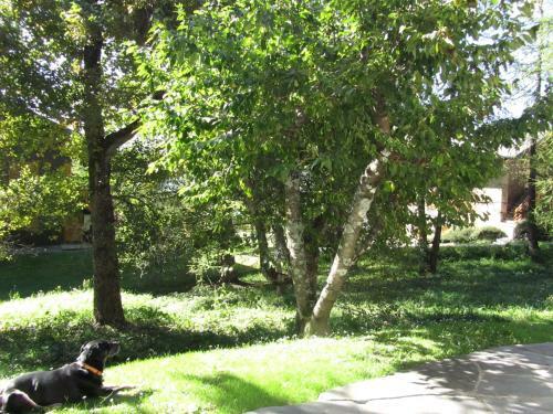 Apartamento Le G�n�pi