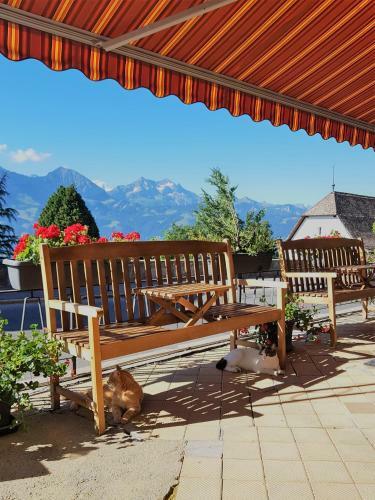 Hotel Sterne