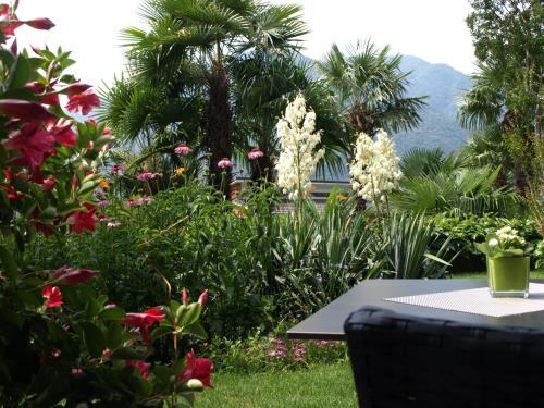 Hotel Barbat�