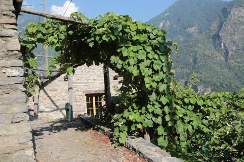 Apartamento Rustico