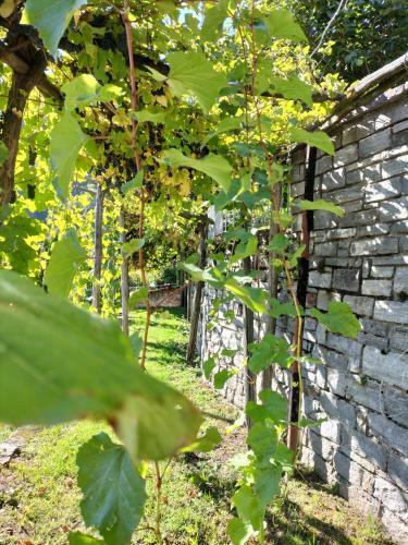 Bed & Breakfast Da Erminia
