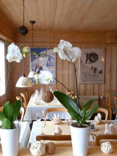 Posada Gasthof Derby