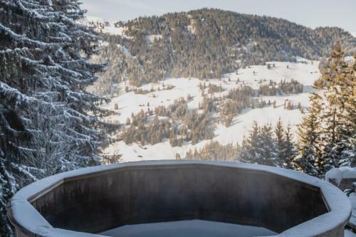 Hotel Hamilton Lodge Zweisimmen