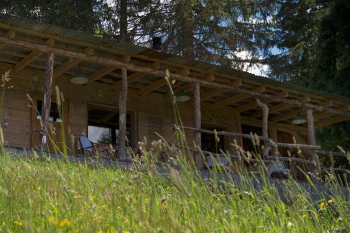 Hotel Hamilton Lodge Zweisimmen