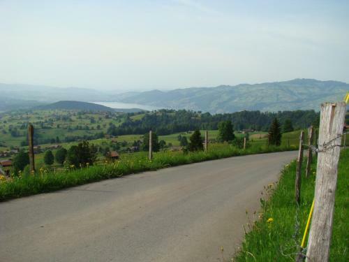 Chalet Tannegg