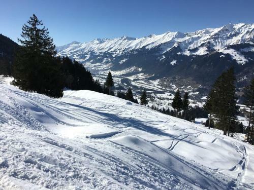 Chalet Tannegg