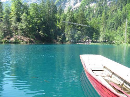 Chalet Tannegg