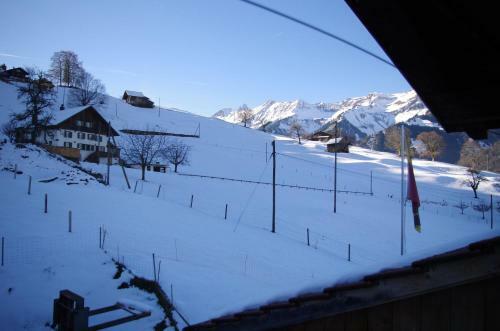Apartamento Niesenblick