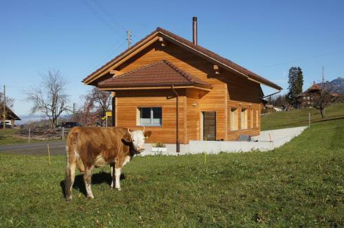 G�stehaus Myhideaway