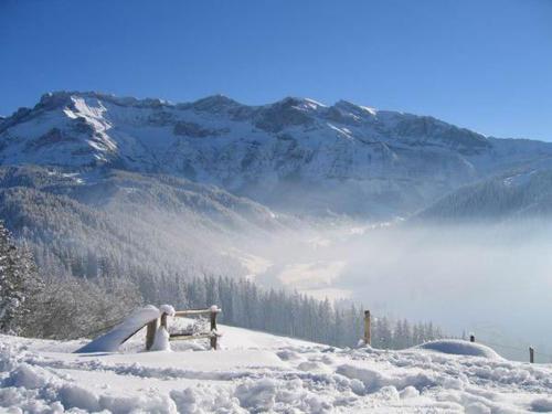 Apartamento Chalet Murmeli