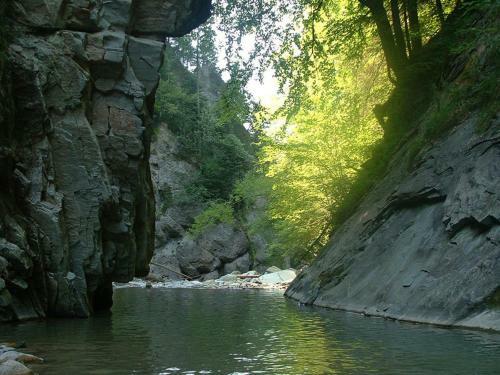 Apartamento Chalet Murmeli