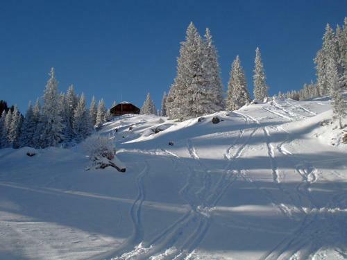 Apartamento Chalet Murmeli
