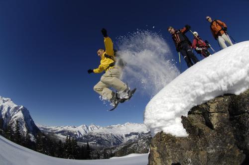 Hotel / Berggasthaus Wasenalp