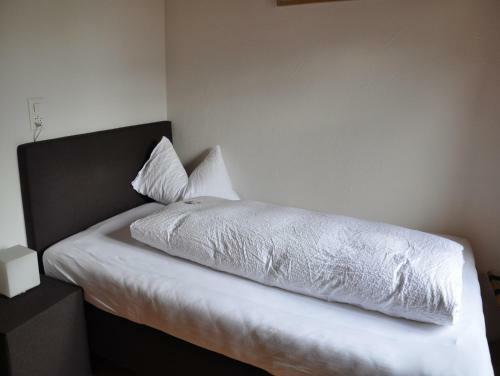 Posada Hotel Ladina