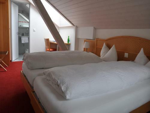 Posada Hotel Ladina
