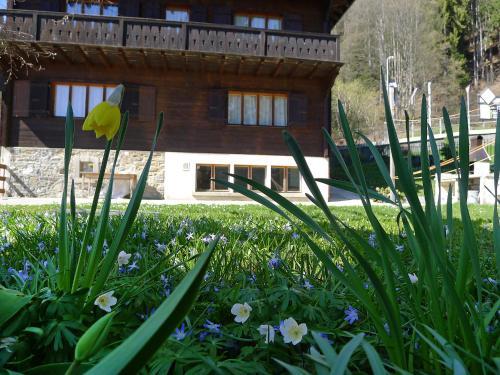 Holiday Home Riant-soleil Arveyes