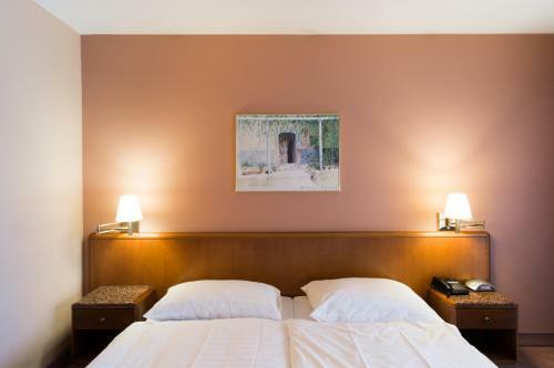 Hotel Le Cedre