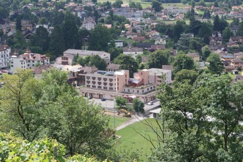 Hotel Le Cedre