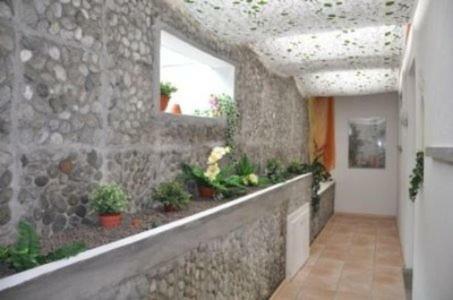 Apartamentos Villa Colibri