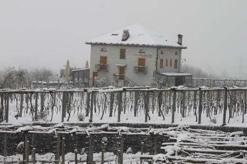 Hotel Fattoria L'amorosa