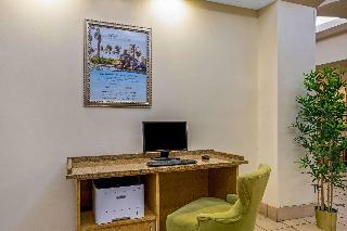 Hotel La Quinta Inn & Suites New Haven