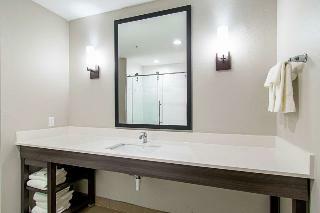 Hotel Comfort Suites Humble Houston At Beltway 8