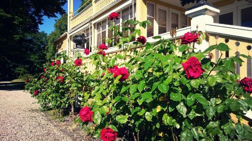 Hostal Fridhems Pensionat