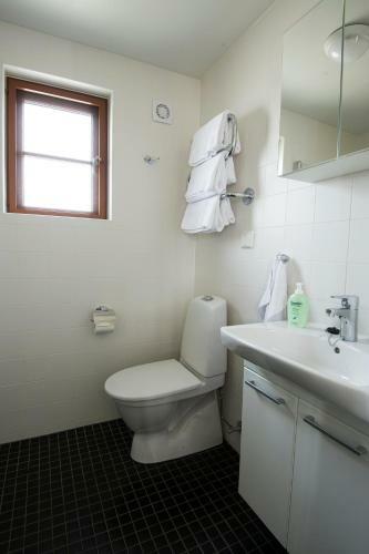 Lodge Dr�mstugan Kneippbyn