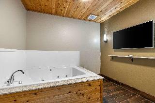 Hotel Comfort Inn Suites Cedar Rapids Cid Eastern Iowa