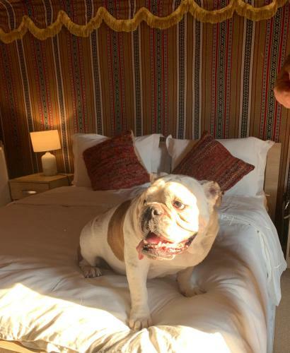 Rak Glamping