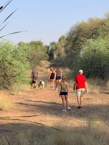 Rak Glamping