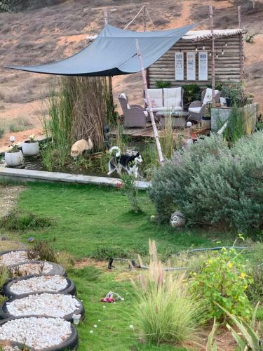 Rak Glamping