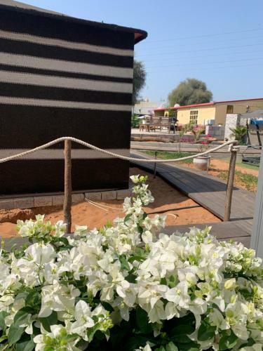 Rak Glamping