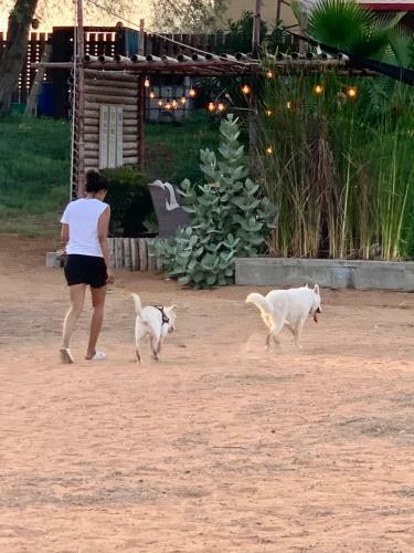 Rak Glamping